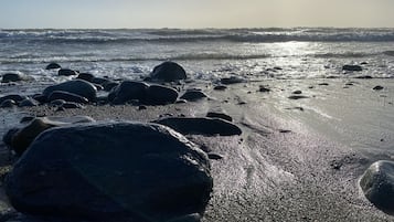 Playa en los alrededores y camastros