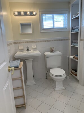 Combined shower/bathtub, hair dryer