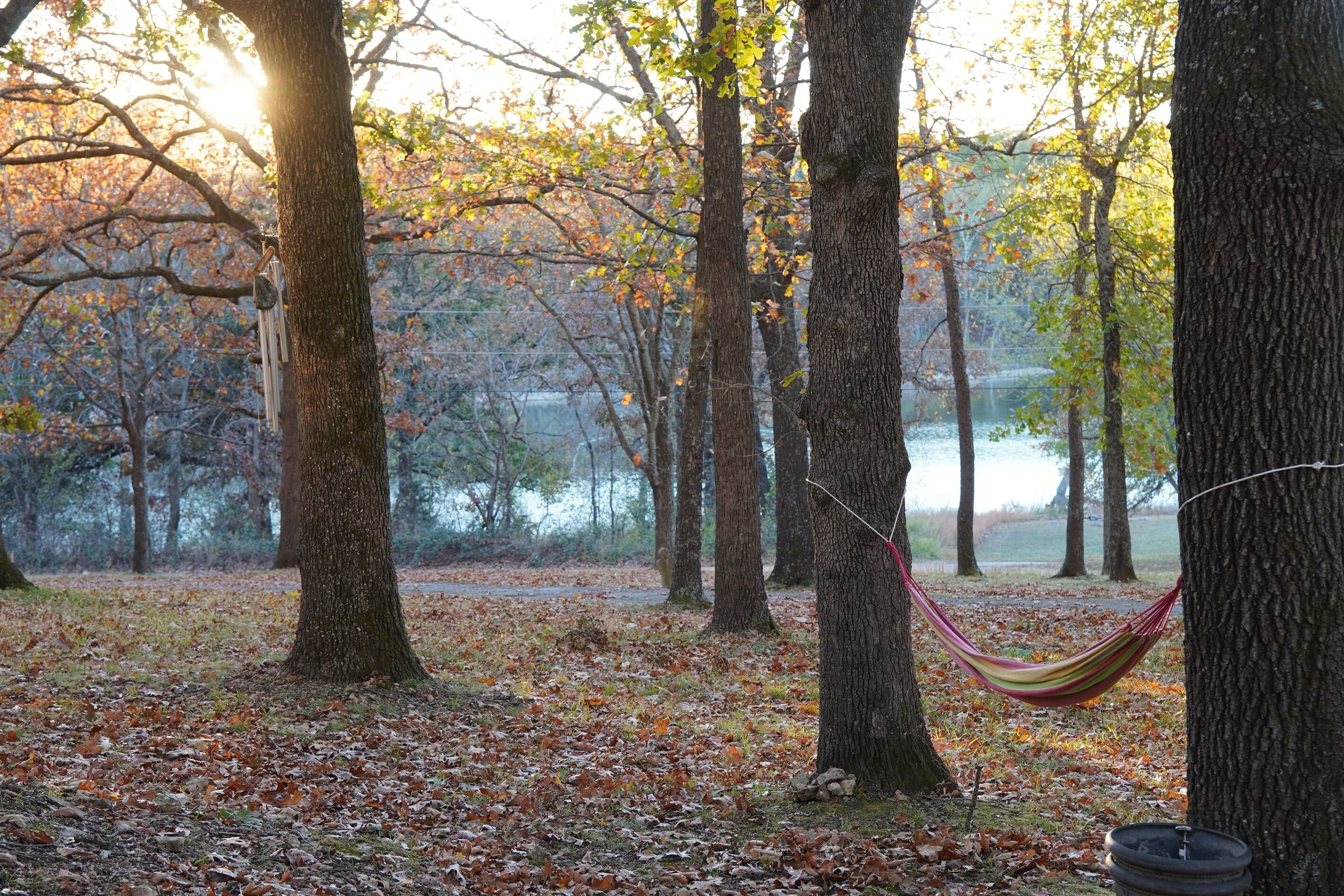 A hammock between trees in a forested area with a body of water in the background.
