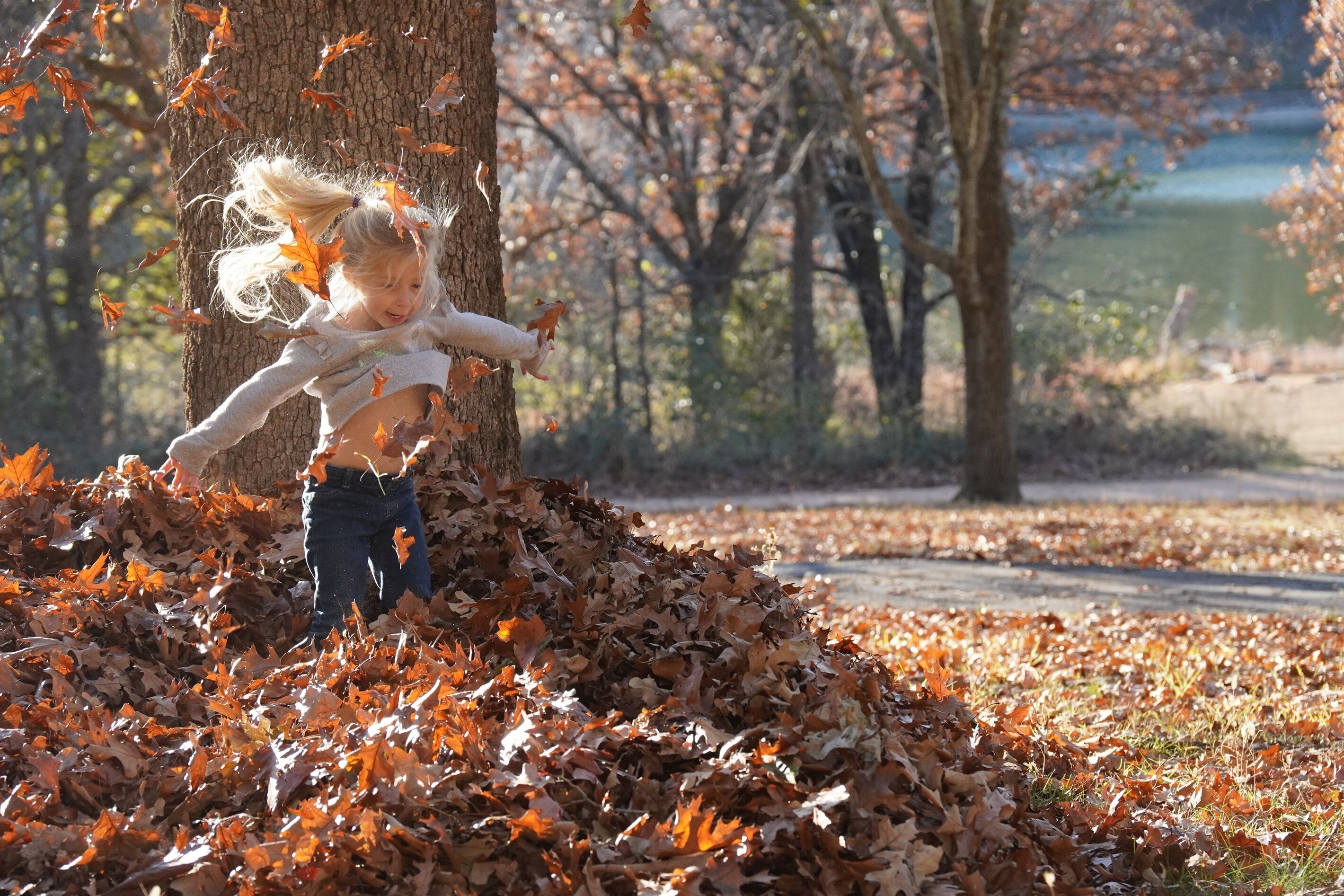 A child playing in autumn leaves near a tree.