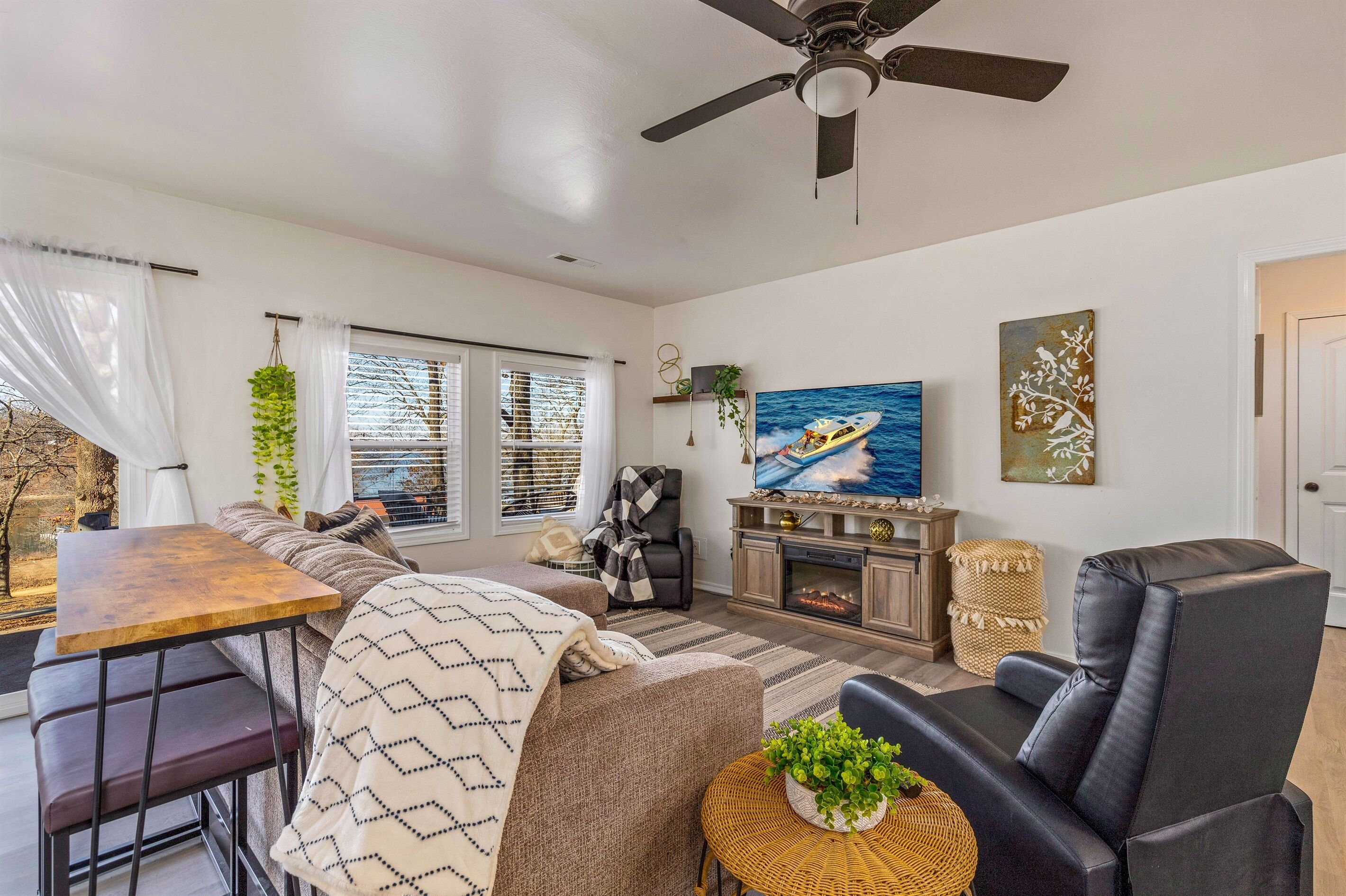 Smart TV, fireplace, DVD player, books