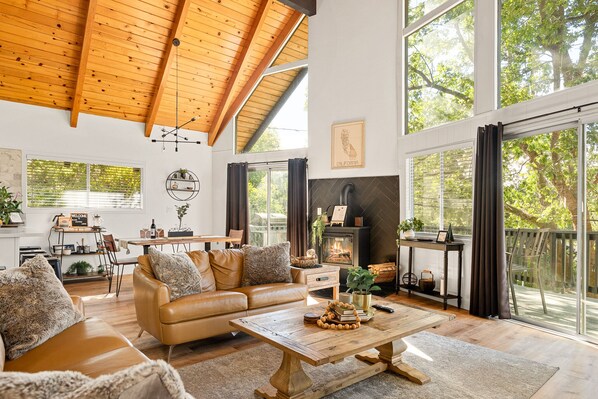 Smart TV, fireplace, books