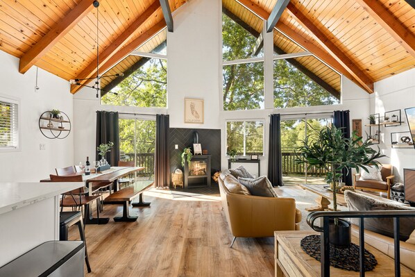 Smart TV, fireplace, books