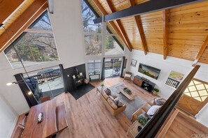 Smart TV, fireplace, books