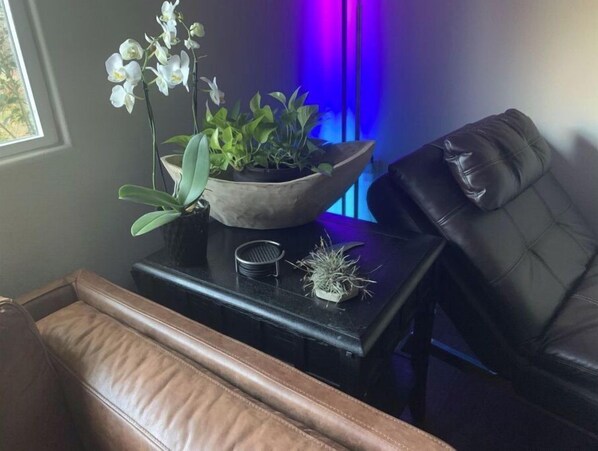 Interior - Artistic south Austin home with tree covered yard (Austin)