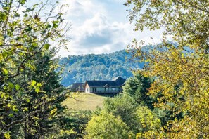 Property grounds - Home for Holidays Villa at Stony Woods near Asheville Pet Friendly (Marshall)