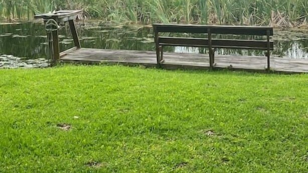 A wooden dock with a bench extending into a body of water, surrounded by lush greenery and trees. - Professor Rousseau's Manatee Bay (Crystal River)