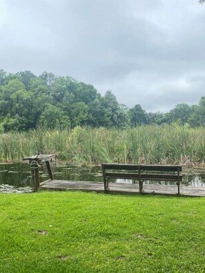 Property grounds - Professor Rousseau's Manatee Bay (Crystal River)