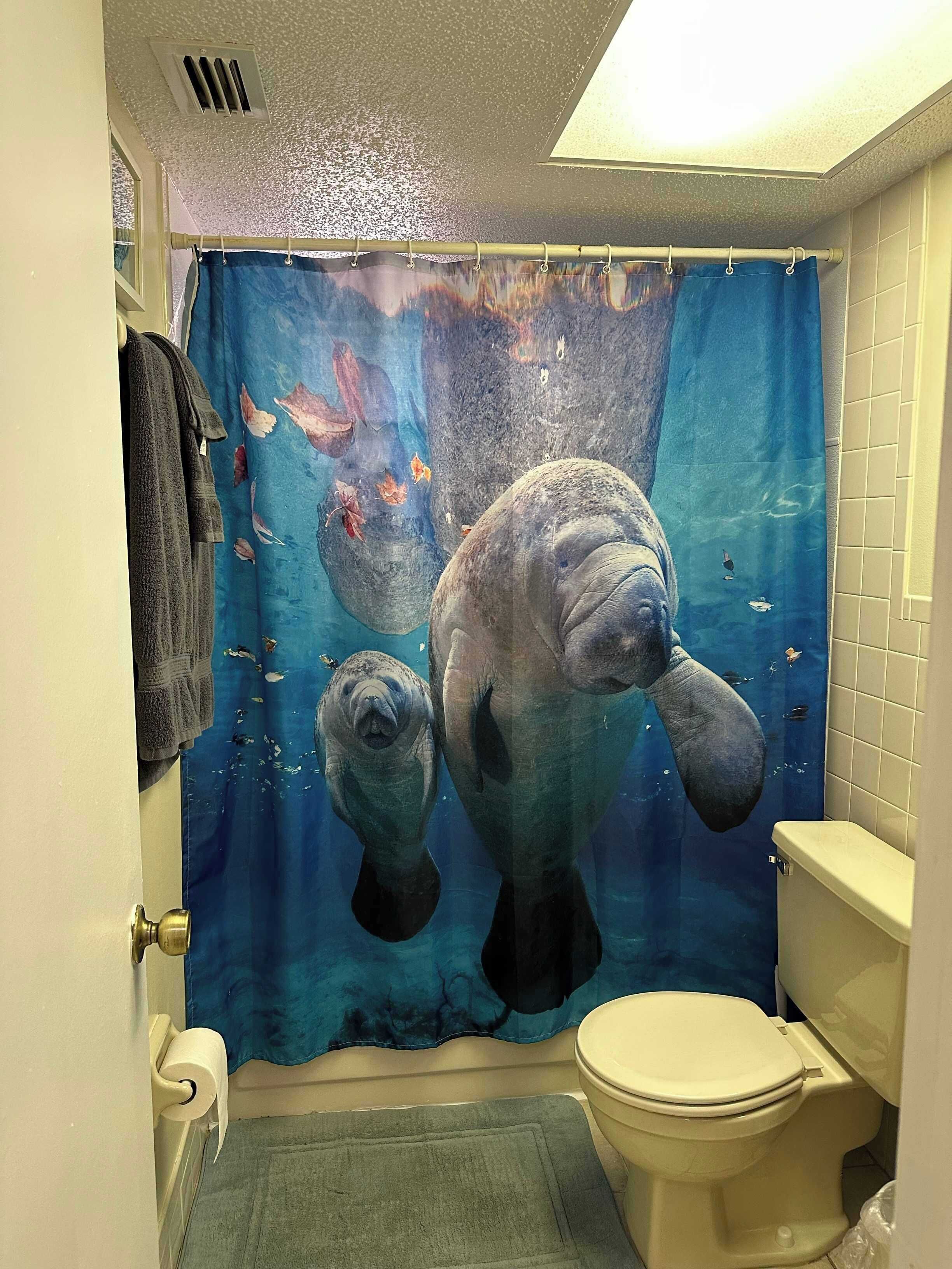 Badewanne, Haartrockner, Handtücher