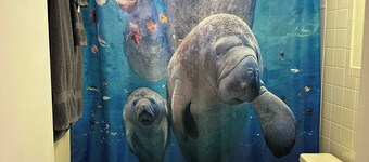 Professor Rousseau's Manatee Bay
