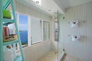 Hair dryer, towels, soap, shampoo