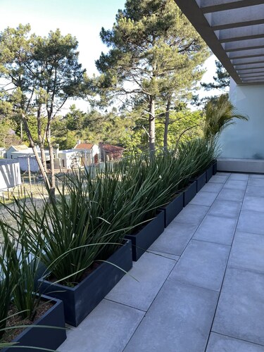 Apartment surrounded by pines in Montevideo