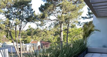 Apartment surrounded by pines in Montevideo