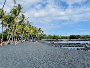 A beach with black sand, palm trees, and people.