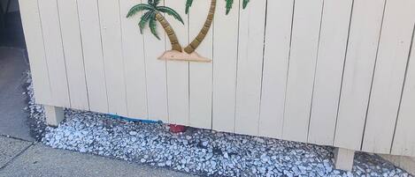 A white picket fence with palm trees and a concrete pathway.