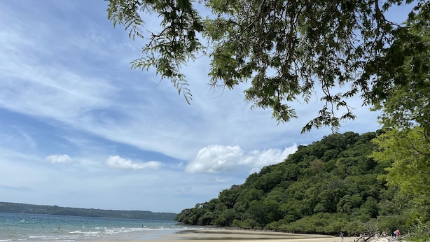 A beach with a sandy shore, a forested hill, and a clear sky. - Ocean View 1 BR w/Office, Rooftop and Gardens (Playas del Coco)
