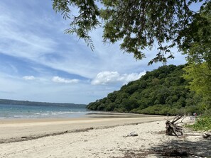 Ein Strand mit sandigem Ufer, ein bewaldeter Hügel und ein klarer Himmel.