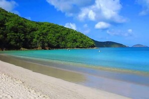 A beach with clear turquoise water, a sandy shore, and a forested hill in the background. - Ocean View Studio • by Magen's • Pool & Generator (Northside)