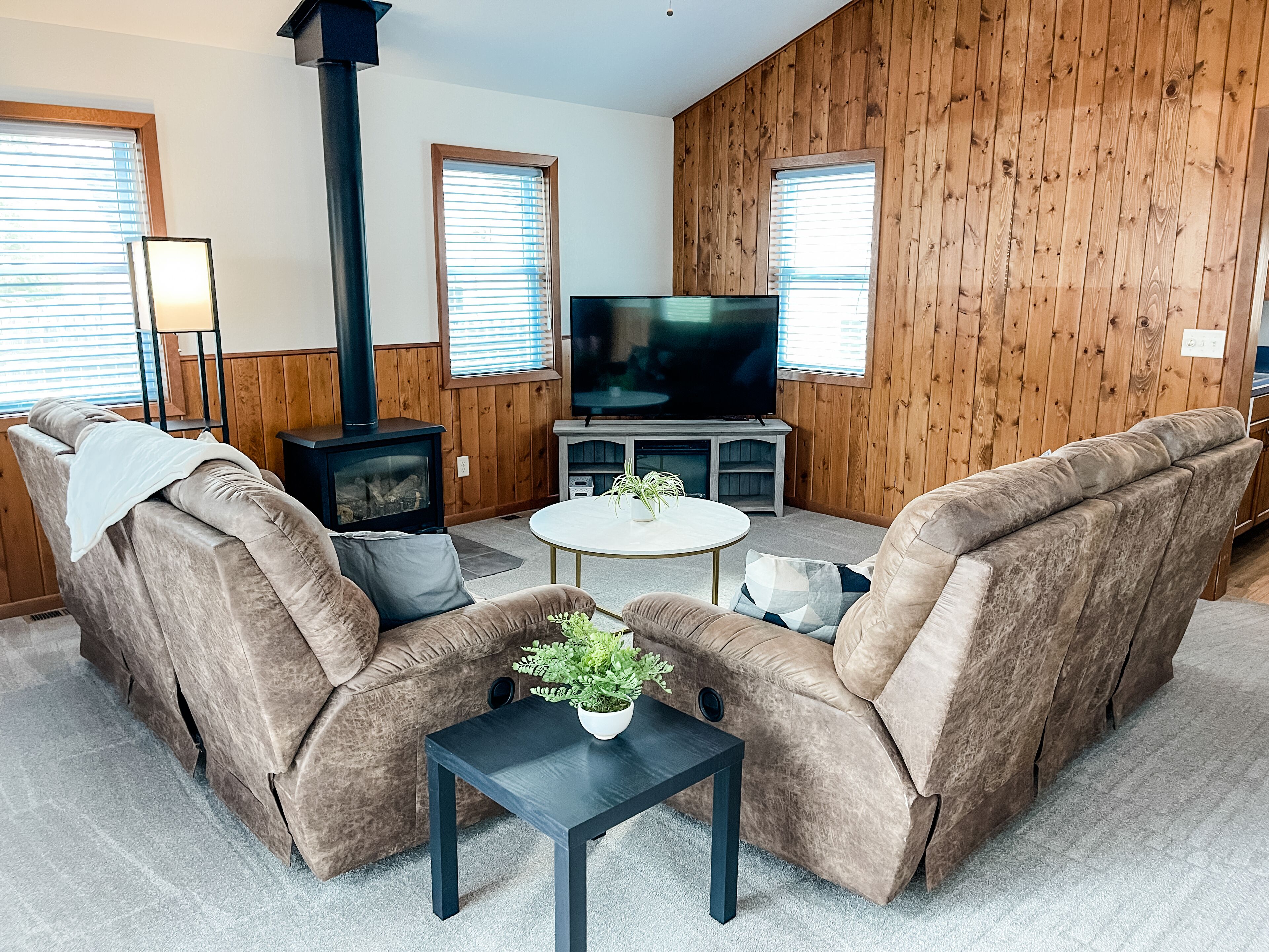 Smart TV, fireplace, books