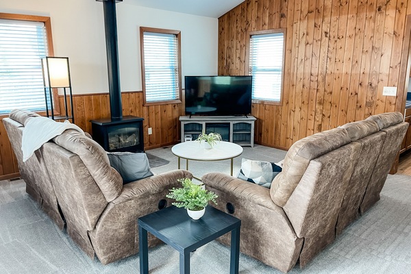 Smart TV, fireplace, books