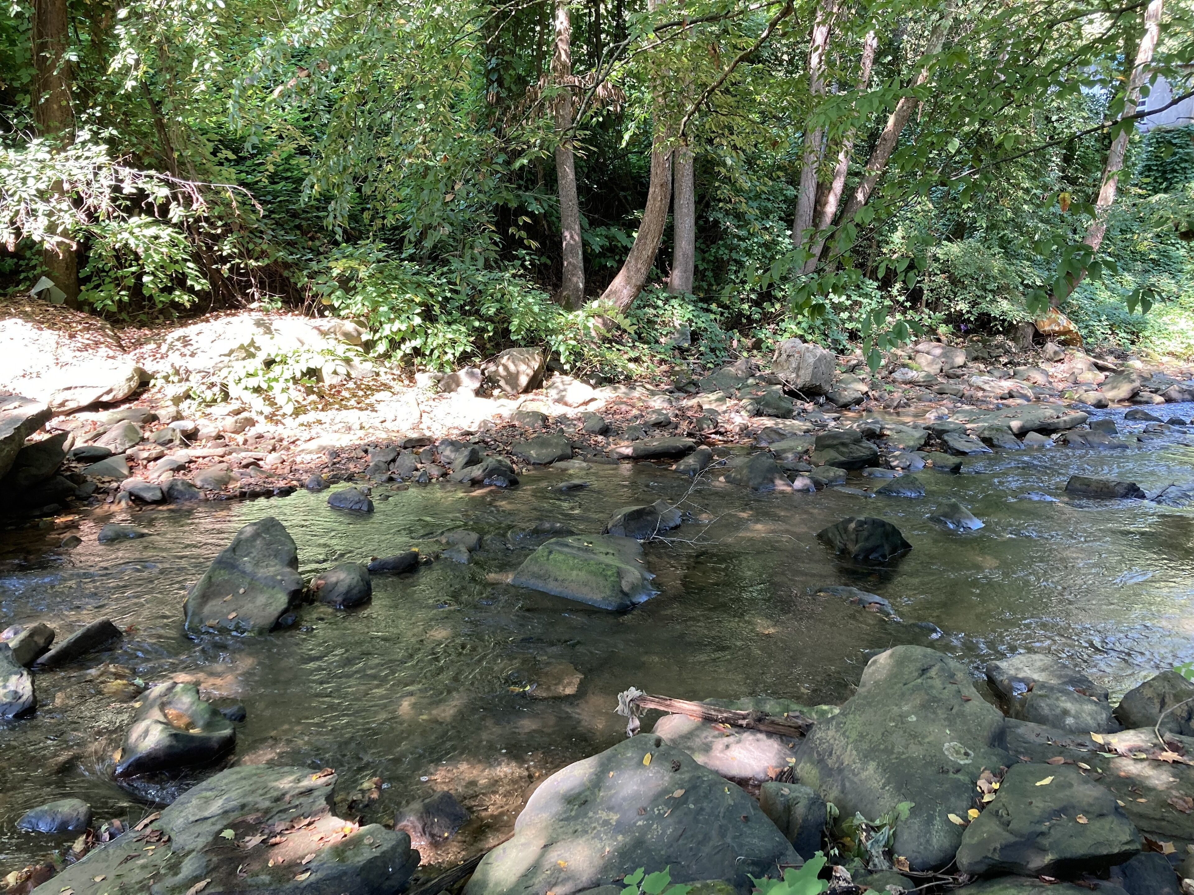 Un ruisseau limpide, avec des rochers et des arbres en arrière-plan.