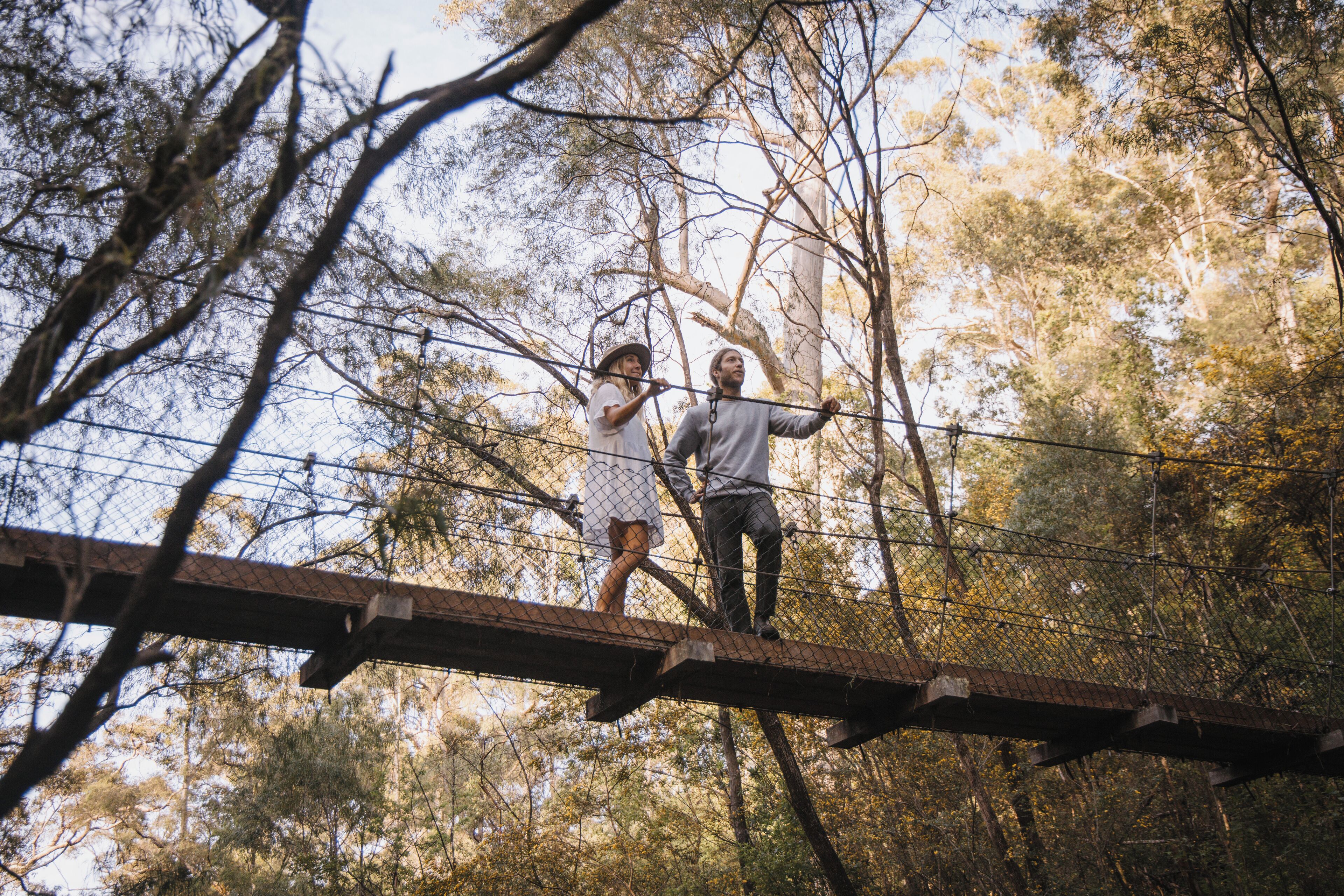 A suspension bridge in a forested area.