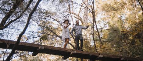 A suspension bridge in a forested area.