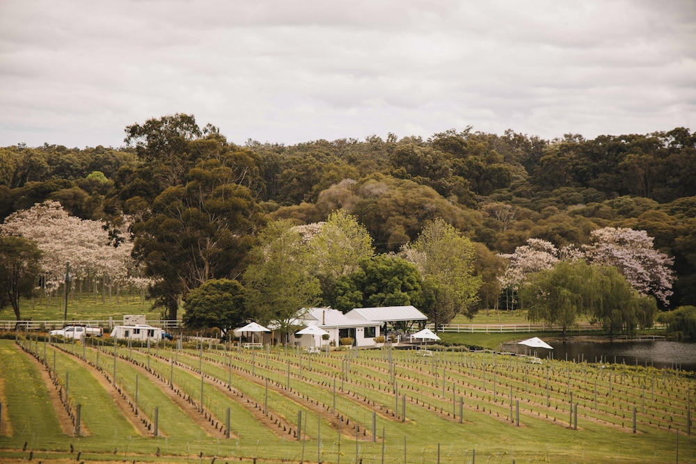 Ampersand Estates Winery by null