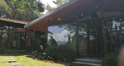 Suite y Loft Casa Toría