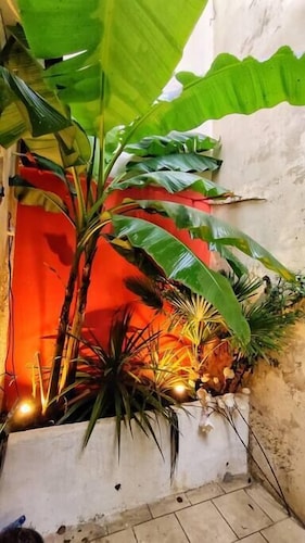 Votre Escale - Jungle Sauna & Spa