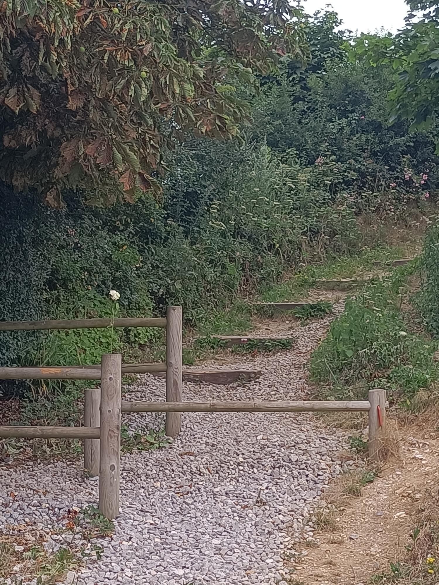 Ein Kiesweg mit hölzernen Pfosten und einem Zaun, umgeben von dichtem Grün und Bäumen.