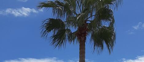 Overnatningsstedets område