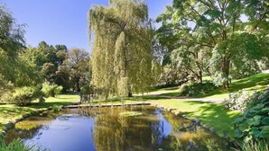 Un étang paisible, entouré d’une végétation luxuriante et d’arbres.
