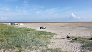 Tæt på stranden