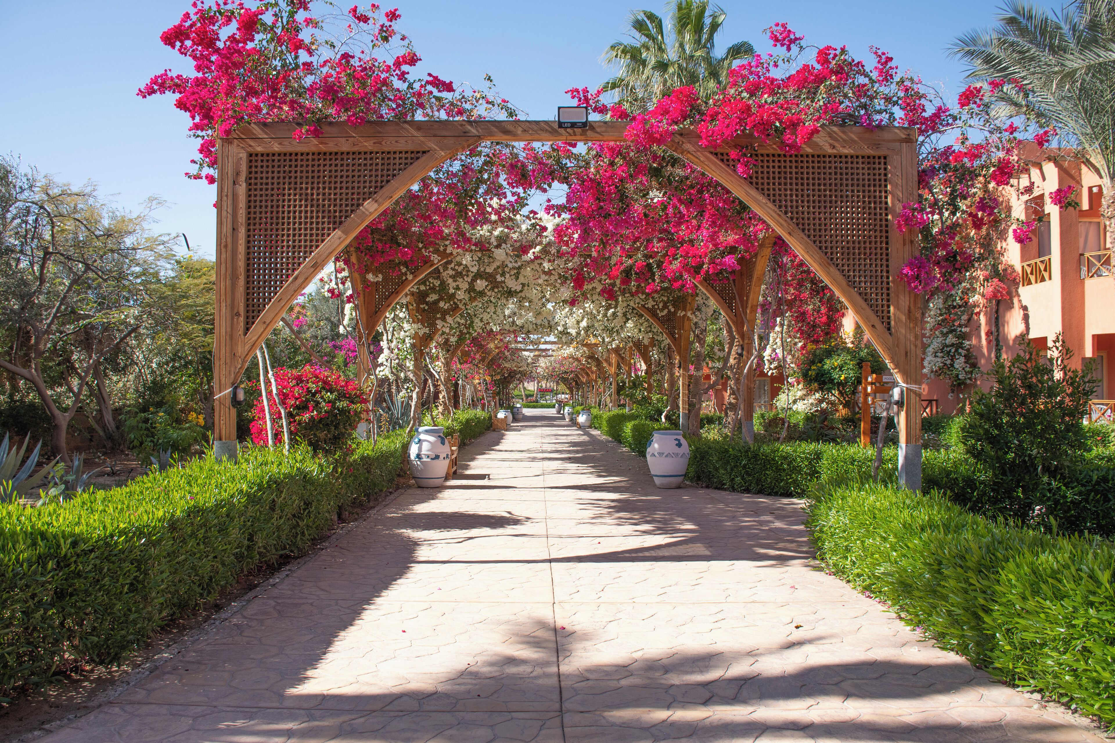 Photo - SOULOTEL EMERALD Resort & Spa