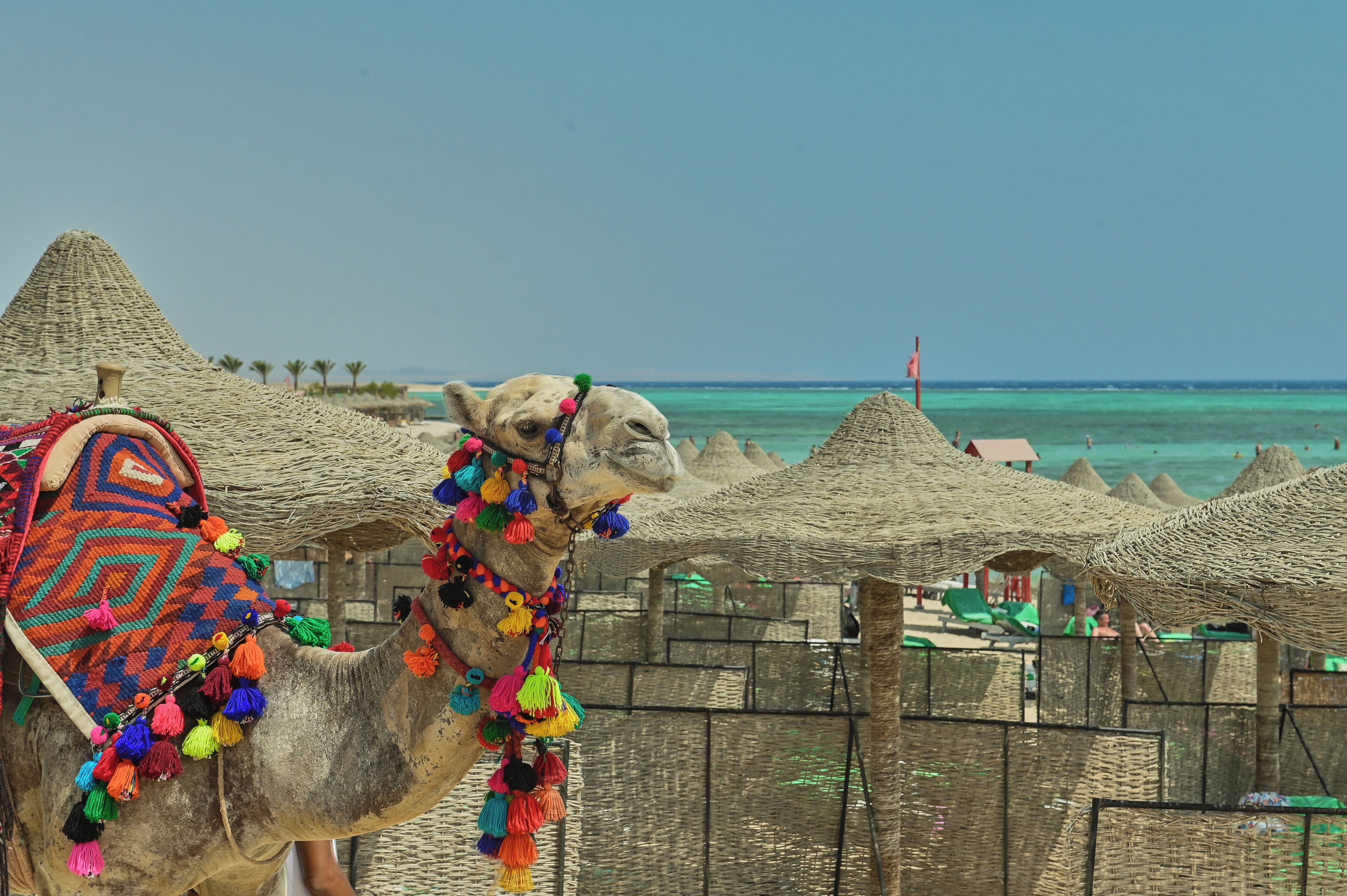 Photo - SOULOTEL EMERALD Resort & Spa