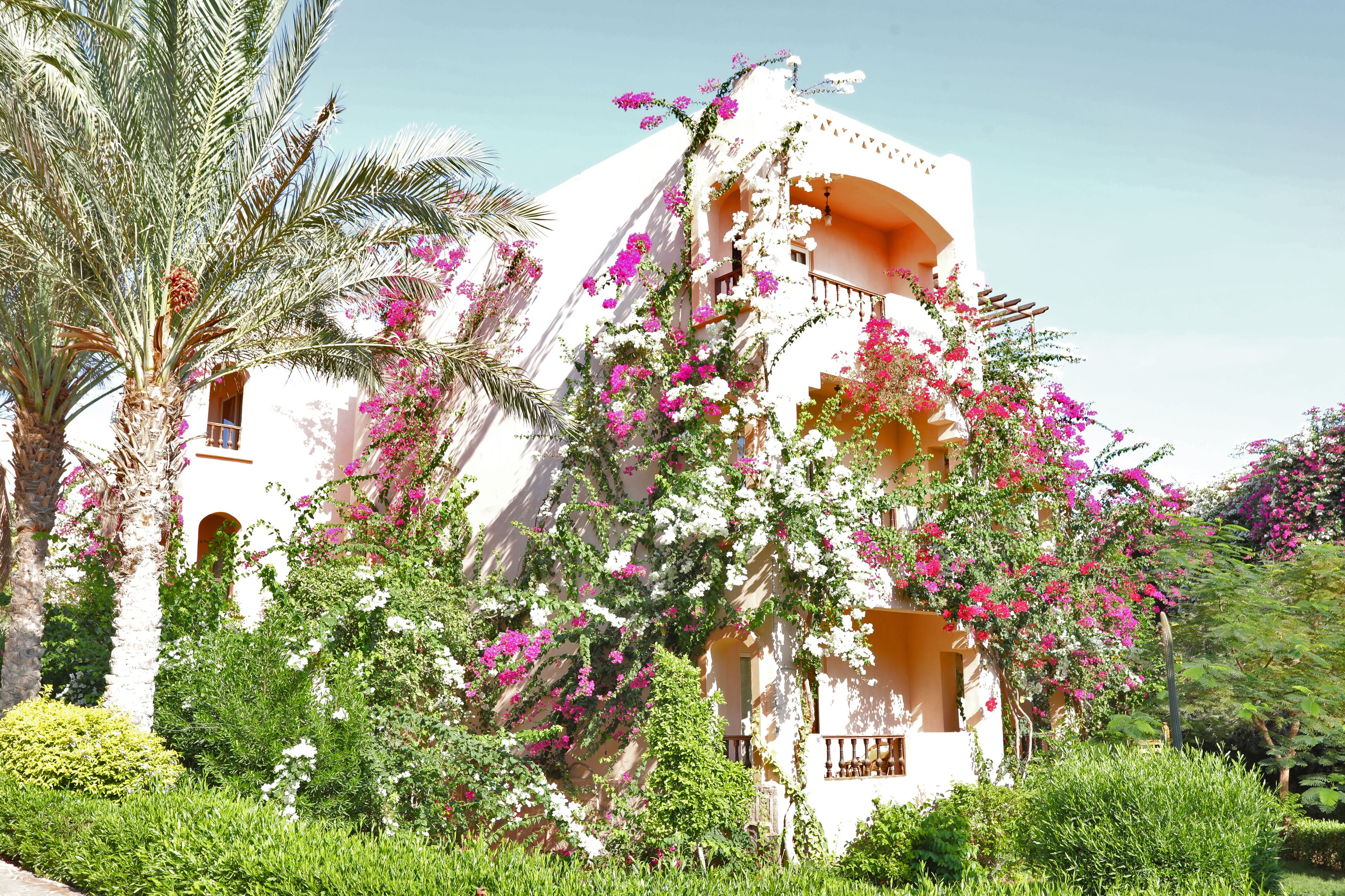 A white building with pink flowers and a balcony.