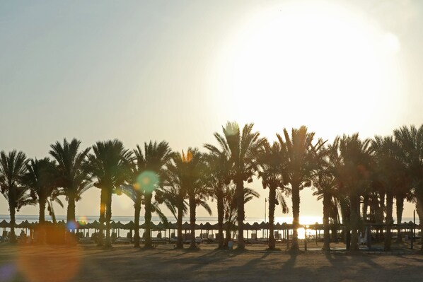 A beach with palm trees and a row of beach umbrellas.