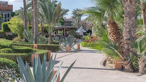 정원