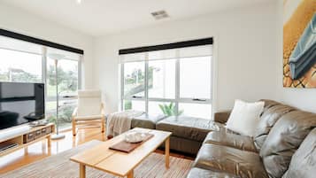 TV, fireplace, ping pong