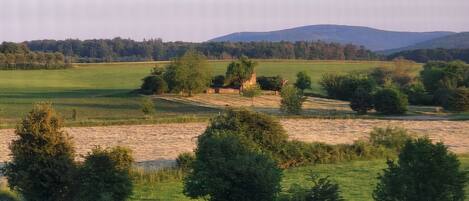 A rural landscape with open fields, scattered trees, and a distant mountain range.