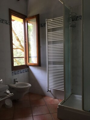 Douche, séchoir à cheveux, bidet, serviettes fournies