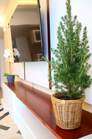 A potted evergreen tree on a wooden counter with a mirror above it.