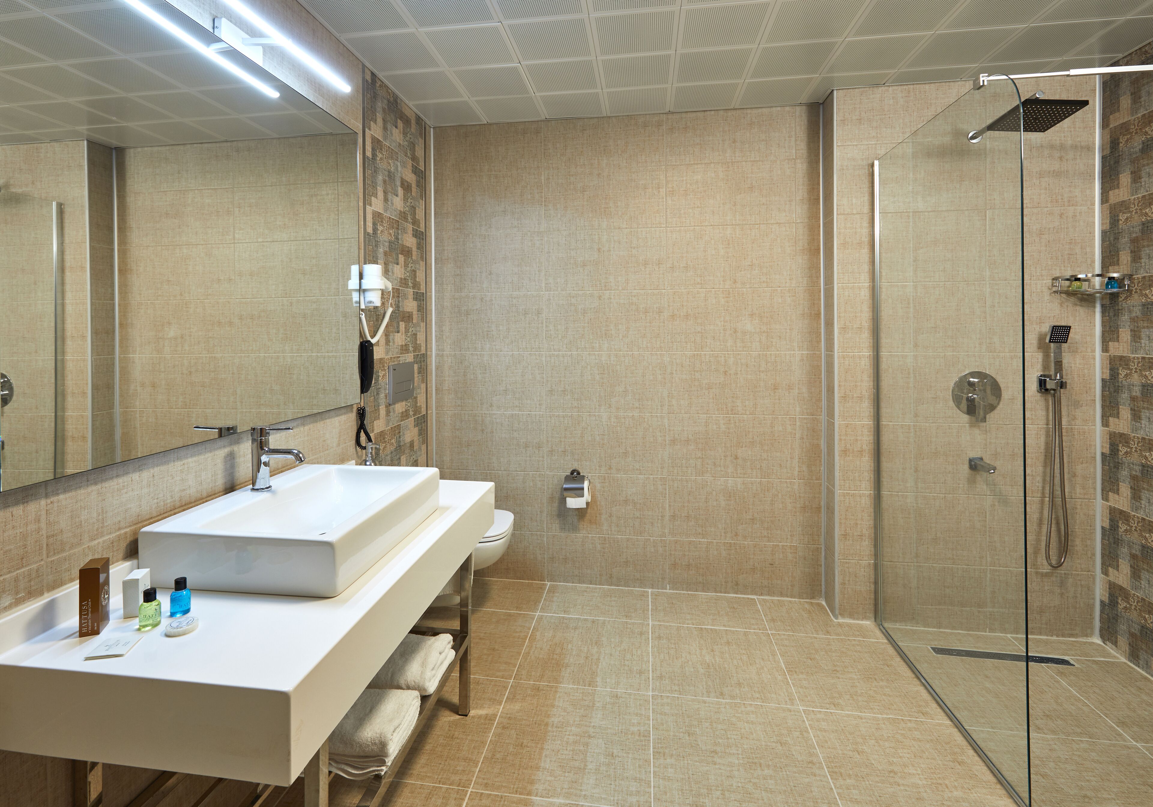 A modern bathroom with a large sink, toilet, and walk-in shower.