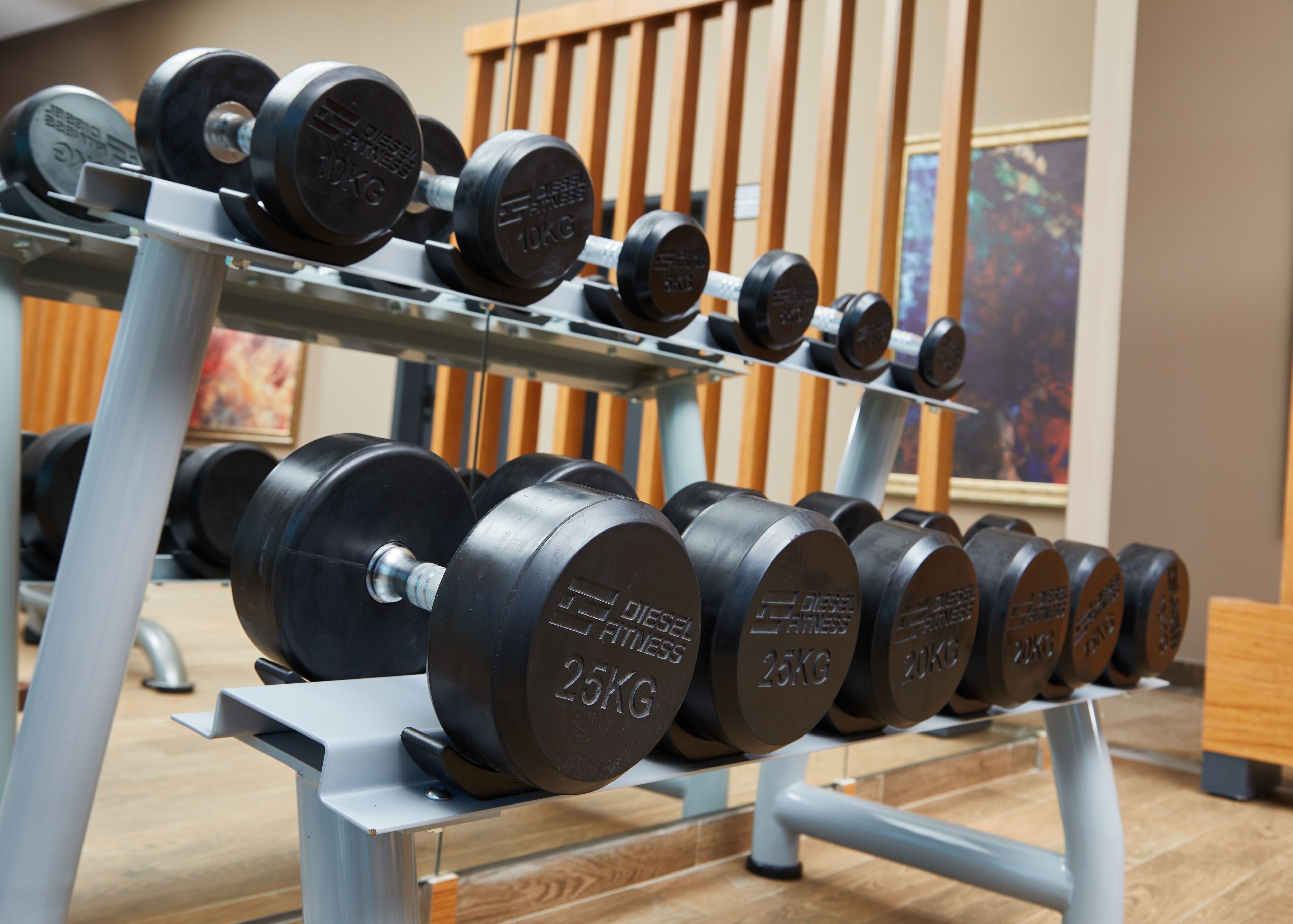 Dischi di sollevamento su una rastrelliera in palestra.