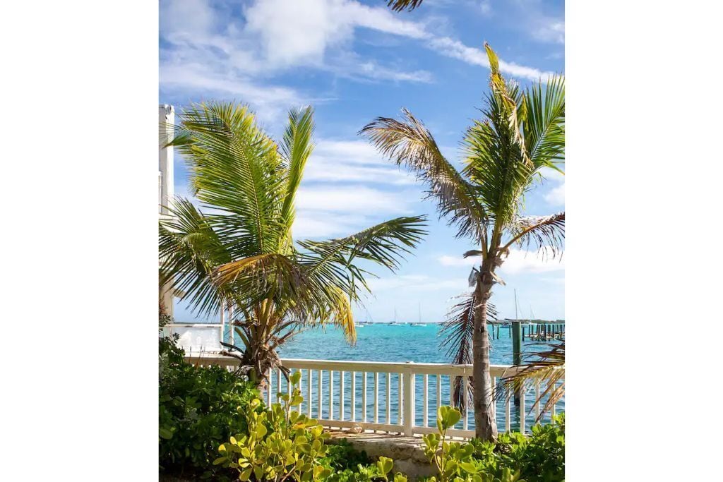 A coastal view with palm trees and a clear sky.