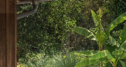 Wooden House With Heated Pool, Fiber Internet and View Into Forest