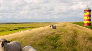 Eine Küstenlandschaft mit einem Leuchtturm, Wiesen und weidenden Schafen.