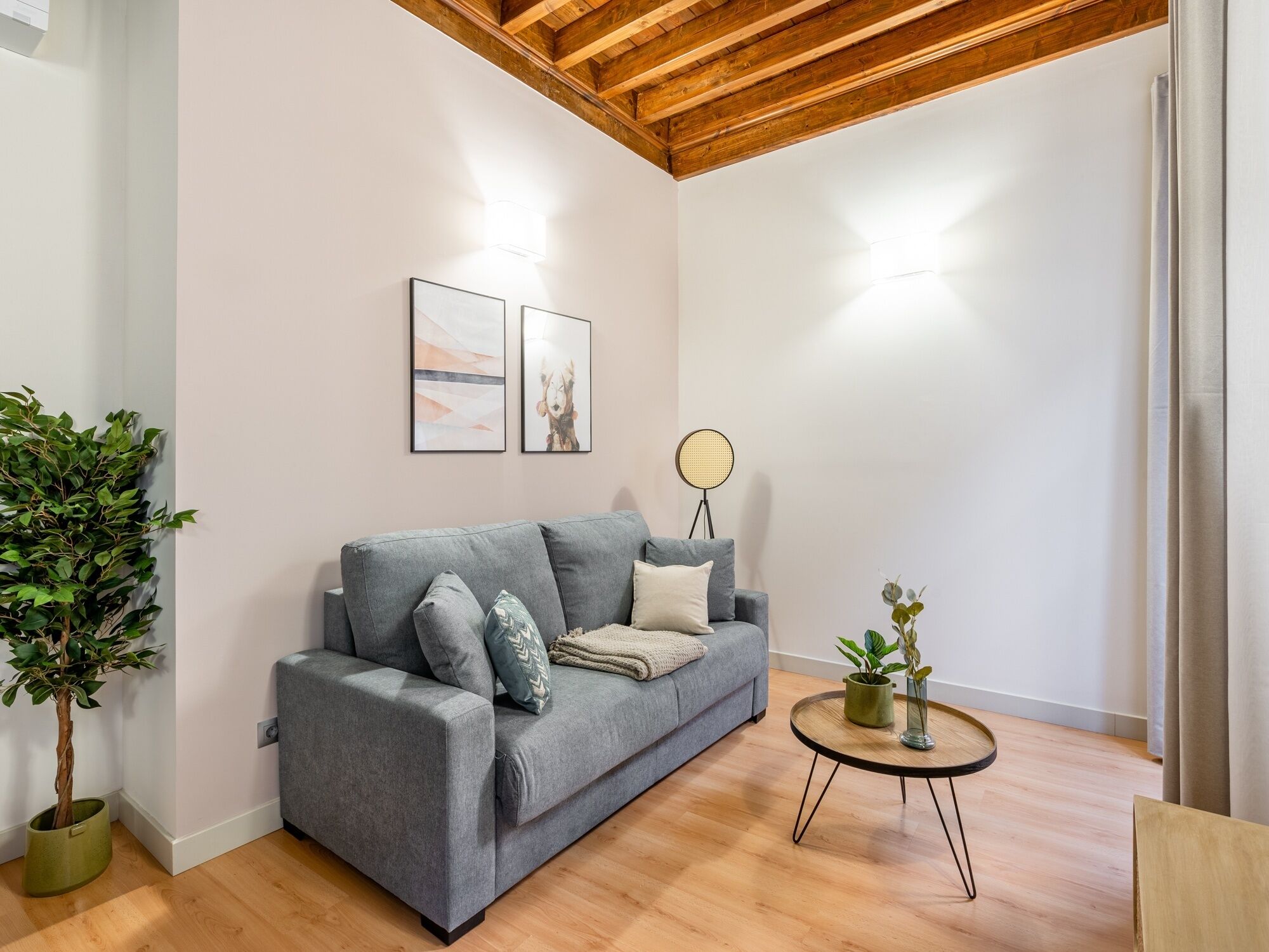Un salon moderne avec un canapé gris, une petite table ronde et une plante en pot.