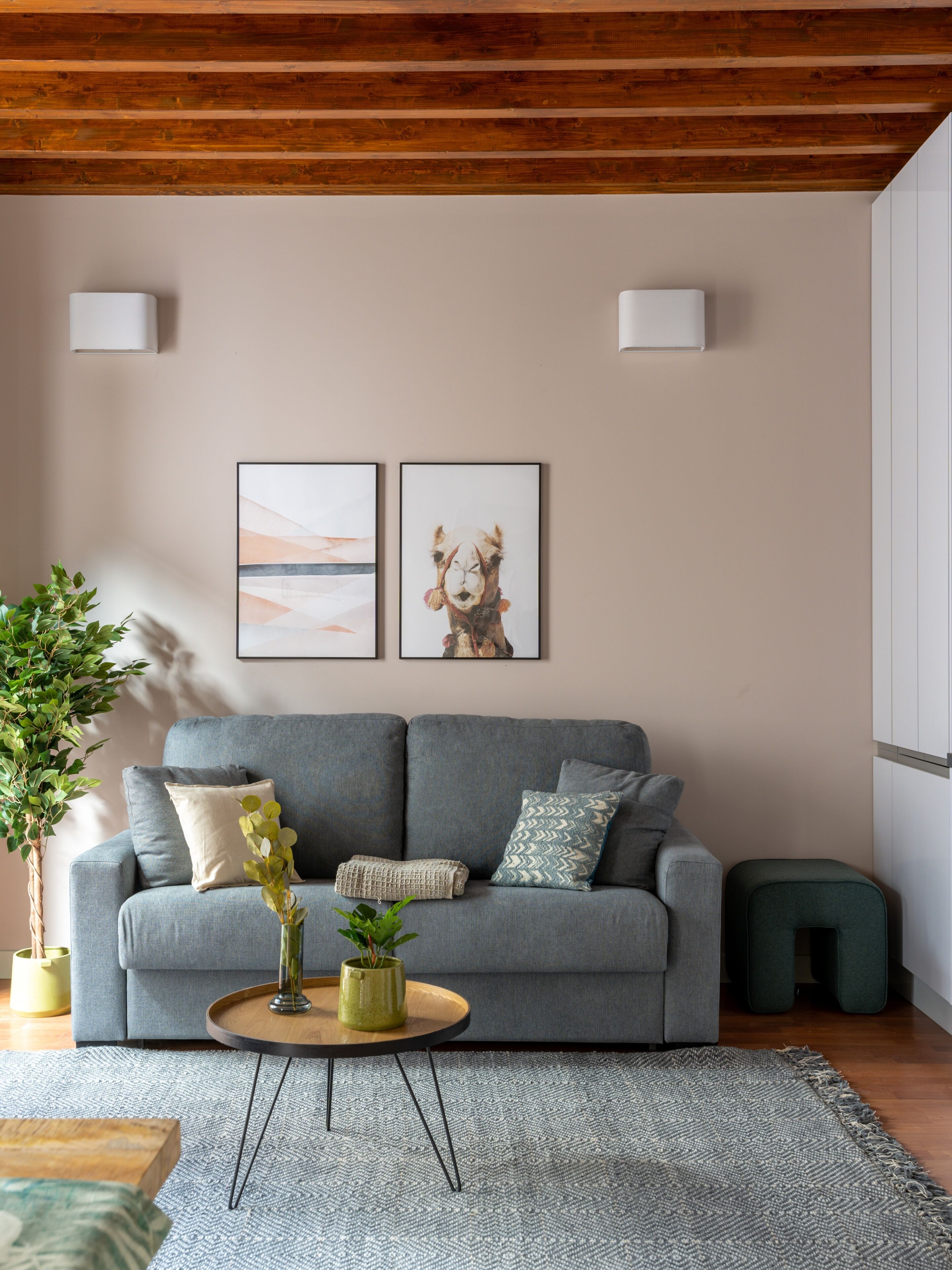 A living room with a grey sofa, two framed pictures, a green plant, and a small wooden table.